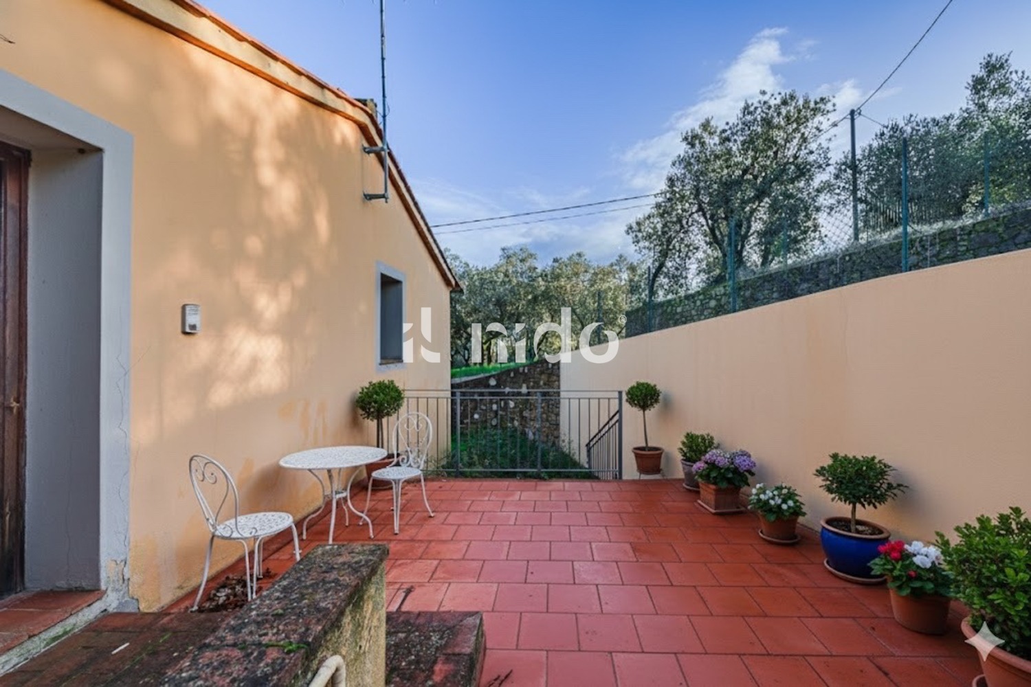 BILO COLLINA