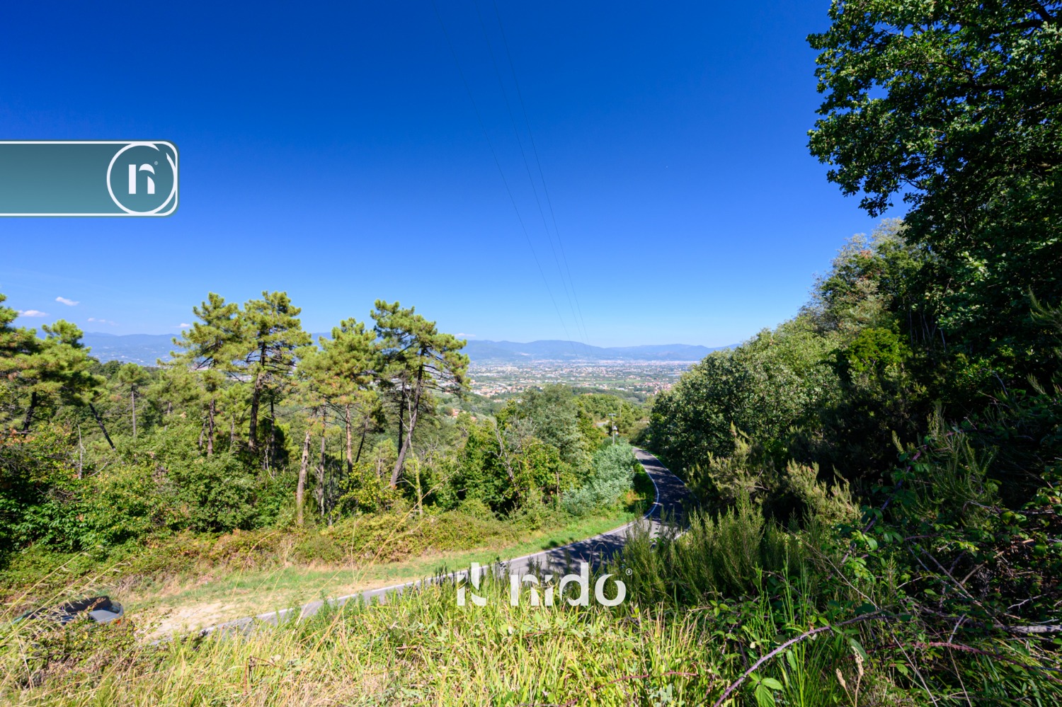 IL BOSCO DEI CASTAGNI