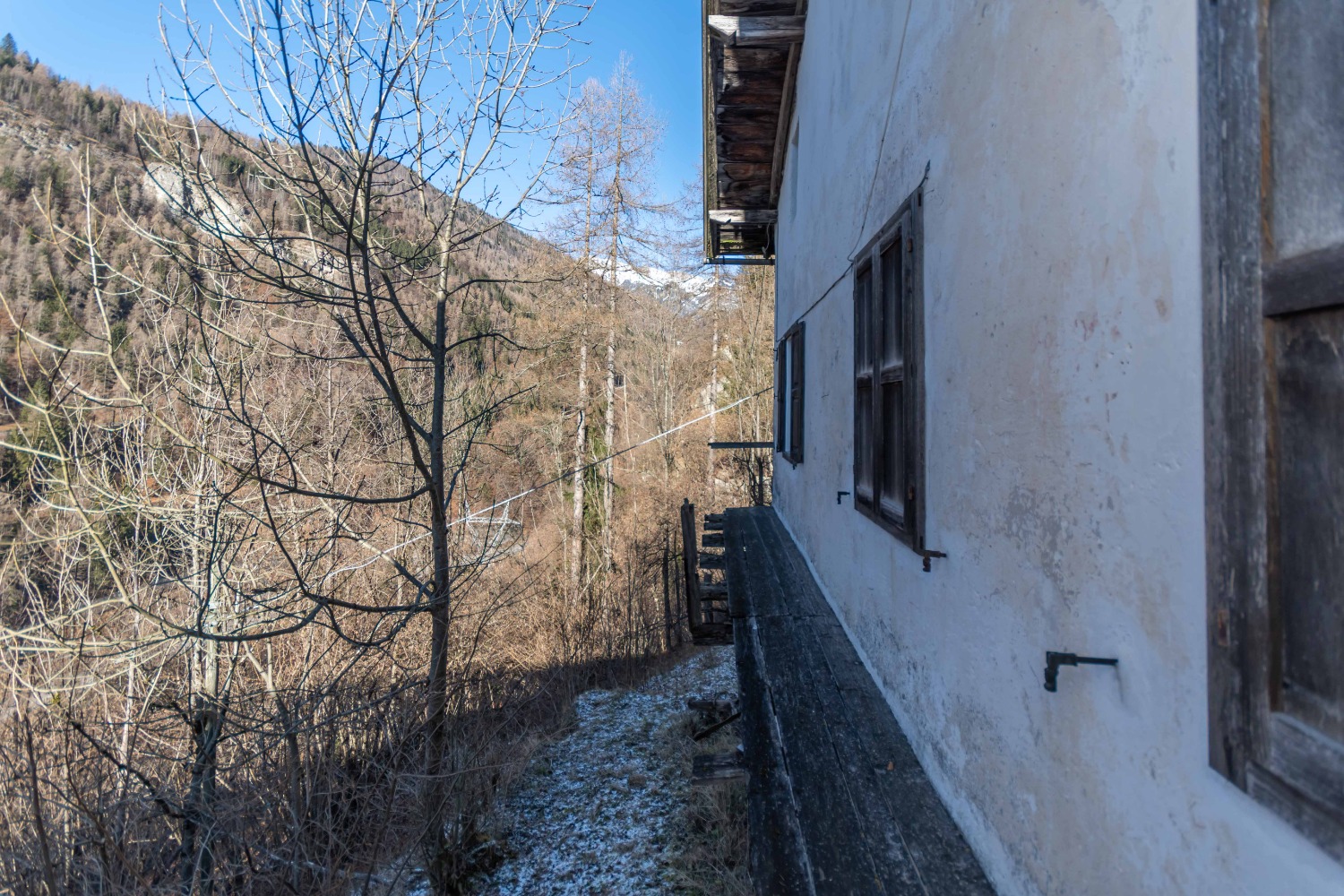 immagine annuncio 9 di 12