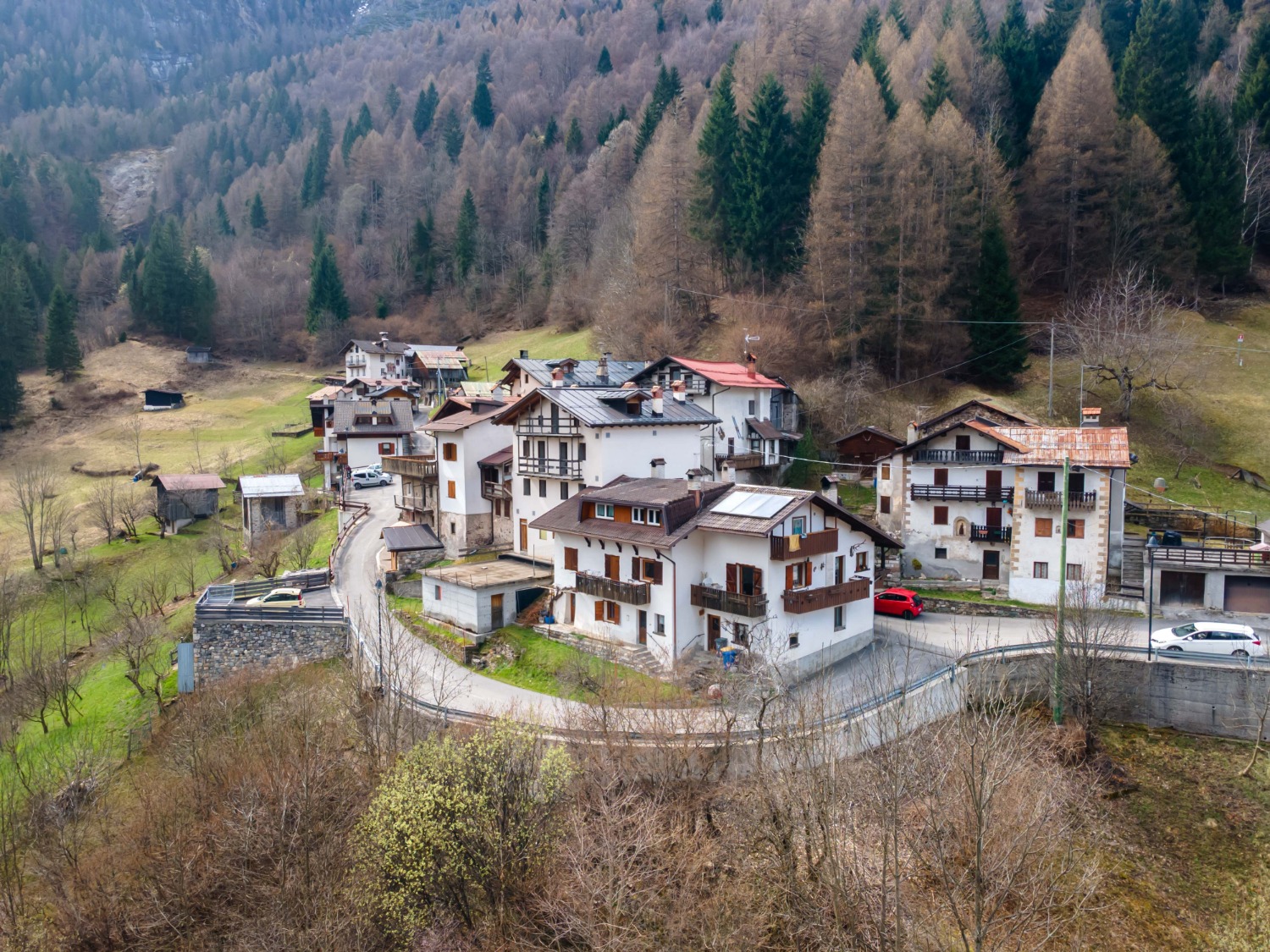 immagine annuncio 3 di 11