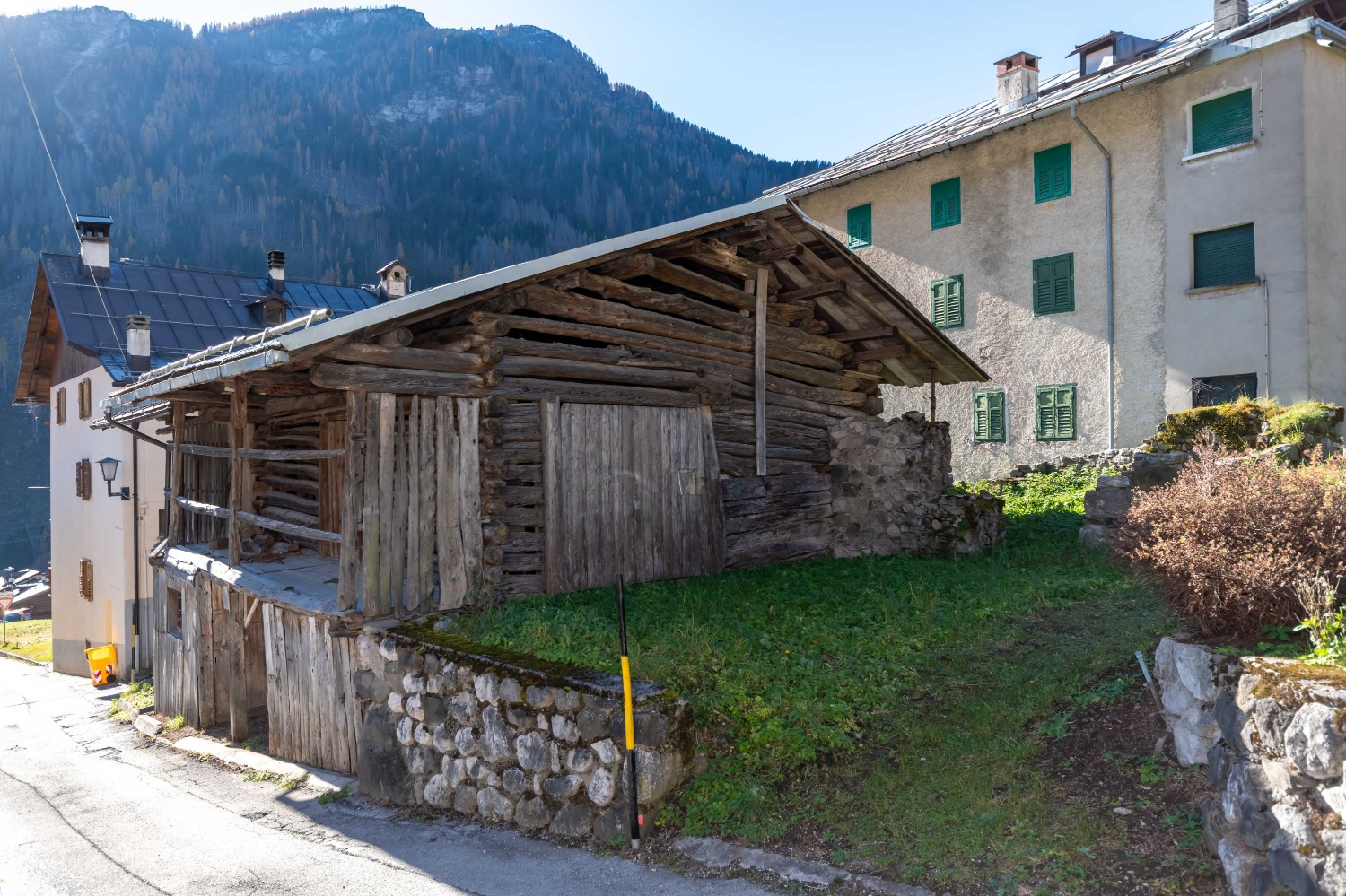 immagine annuncio 2 di 13