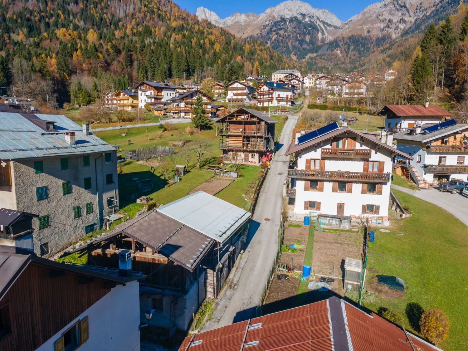 immagine annuncio 9 di 13