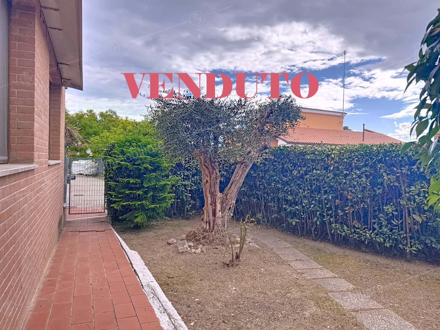 esclusiva immobiliare