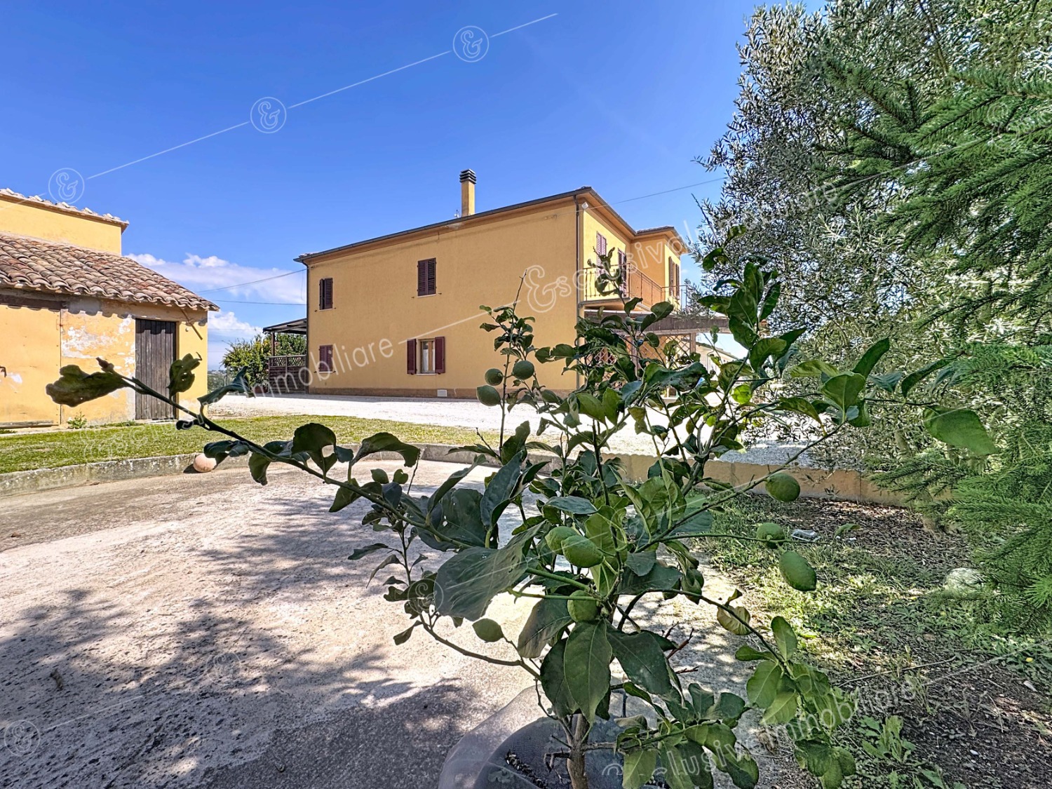 esclusiva immobiliare